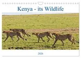 mills / CALVENDO |  Kenya - its Wildlife (Wall Calendar 2026 DIN A4 landscape), CALVENDO 12 Month Wall Calendar | Sonstiges |  Sack Fachmedien