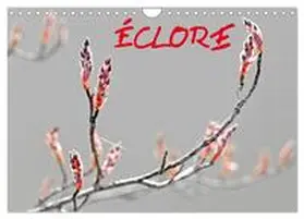 Thébault / CALVENDO |  ÉCLORE (Calendrier mural 2026 DIN A4 vertical), CALVENDO calendrier mensuel | Sonstiges |  Sack Fachmedien
