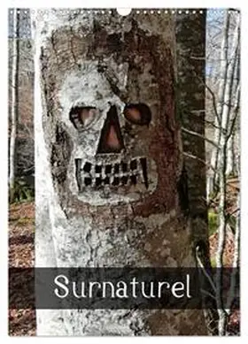 Albuisson / CALVENDO |  Surnaturel (Calendrier mural 2026 DIN A3 horizontal), CALVENDO calendrier mensuel | Sonstiges |  Sack Fachmedien