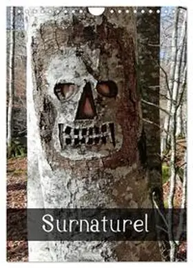 Albuisson / CALVENDO |  Surnaturel (Calendrier mural 2026 DIN A4 horizontal), CALVENDO calendrier mensuel | Sonstiges |  Sack Fachmedien