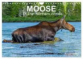 Henry / CALVENDO |  MOOSE Of The Northern Woods (Wall Calendar 2026 DIN A4 landscape), CALVENDO 12 Month Wall Calendar | Sonstiges |  Sack Fachmedien