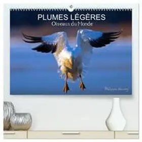 Henry / CALVENDO |  PLUMES LÉGÈRES. Oiseaux du Monde  (Calendrier mural 2026 DIN A2 vertical) calendrier de bureau | Sonstiges |  Sack Fachmedien