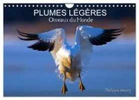 Henry / CALVENDO |  PLUMES LÉGÈRES. Oiseaux du Monde (Calendrier mural 2026 DIN A4 vertical), CALVENDO calendrier mensuel | Sonstiges |  Sack Fachmedien