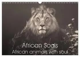 Kulpa / CALVENDO |  African Souls African animals with soul (Wall Calendar 2026 DIN A3 landscape), CALVENDO 12 Month Wall Calendar | Sonstiges |  Sack Fachmedien