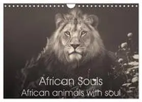 Kulpa / CALVENDO |  African Souls African animals with soul (Wall Calendar 2026 DIN A4 landscape), CALVENDO 12 Month Wall Calendar | Sonstiges |  Sack Fachmedien
