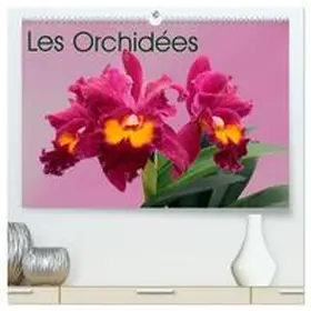 MonarchC / CALVENDO |  Les Orchidées  (Calendrier mural 2026 DIN A2 vertical) calendrier de bureau | Sonstiges |  Sack Fachmedien