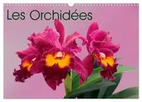 MonarchC / CALVENDO |  Les Orchidées (Calendrier mural 2026 DIN A3 vertical), CALVENDO calendrier mensuel | Sonstiges |  Sack Fachmedien
