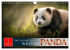 Roder / CALVENDO |  Panda - die Stimme der Wildnis (Wandkalender 2026 DIN A4 quer), CALVENDO Monatskalender | Sonstiges |  Sack Fachmedien