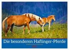 Irmer / CALVENDO |  Die besonderen Haflinger-Pferde (Tischkalender 2026 DIN A5 quer), CALVENDO Monatskalender | Sonstiges |  Sack Fachmedien
