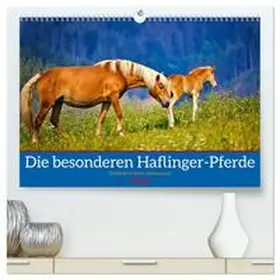 Irmer / CALVENDO |  Die besonderen Haflinger-Pferde (hochwertiger Premium Wandkalender 2026 DIN A2 quer), Kunstdruck in Hochglanz | Sonstiges |  Sack Fachmedien