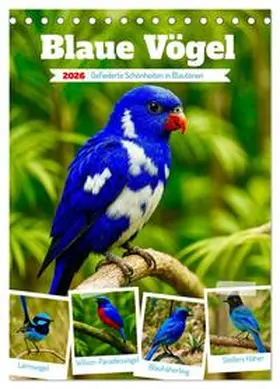 Lehmann / CALVENDO |  Blaue Vögel (Tischkalender 2026 DIN A5 hoch), CALVENDO Monatskalender | Sonstiges |  Sack Fachmedien