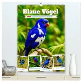 Lehmann / CALVENDO |  Blaue Vögel (hochwertiger Premium Wandkalender 2026 DIN A2 hoch), Kunstdruck in Hochglanz | Sonstiges |  Sack Fachmedien