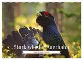 Irmer / CALVENDO |  Stark wie der Auerhahn (Wandkalender 2026 DIN A2 quer), CALVENDO Monatskalender | Sonstiges |  Sack Fachmedien
