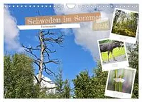 Wedel / CALVENDO |  Schweden im Sommer (Wandkalender 2026 DIN A4 quer), CALVENDO Monatskalender | Sonstiges |  Sack Fachmedien