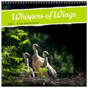 CALVENDO / Müller |  Whispers of Wings (Wall Calendar 2026 12 × 12 Inch) CALVENDO 12 Month Wall Calendar | Sonstiges |  Sack Fachmedien