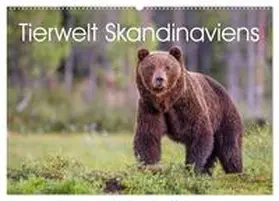 Oberholzer / CALVENDO |  Tierwelt Skandinaviens (Wandkalender 2026 DIN A2 quer), CALVENDO Monatskalender | Sonstiges |  Sack Fachmedien