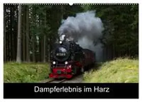 Maurer / CALVENDO |  Dampferlebnis im Harz (Wandkalender 2026 DIN A2 quer), CALVENDO Monatskalender | Sonstiges |  Sack Fachmedien