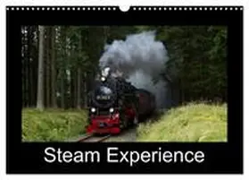 Maurer / CALVENDO |  Steam Experience (Wall Calendar 2026 DIN A3 landscape), CALVENDO 12 Month Wall Calendar | Sonstiges |  Sack Fachmedien