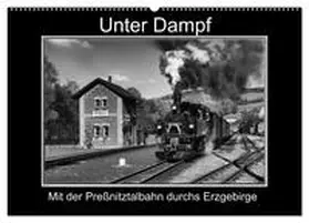 Maurer / CALVENDO |  Unter Dampf - Mit der Preßnitztalbahn durchs Erzgebirge (Wandkalender 2026 DIN A2 quer), CALVENDO Monatskalender | Sonstiges |  Sack Fachmedien