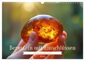 Irmer / CALVENDO |  Bernstein mit Einschlüssen (Wandkalender 2026 DIN A3 quer), CALVENDO Monatskalender | Sonstiges |  Sack Fachmedien
