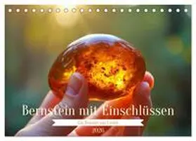 Irmer / CALVENDO |  Bernstein mit Einschlüssen (Tischkalender 2026 DIN A5 quer), CALVENDO Monatskalender | Sonstiges |  Sack Fachmedien