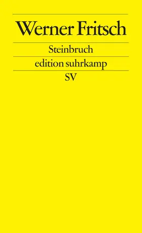 Fritsch |  Steinbruch | Buch |  Sack Fachmedien