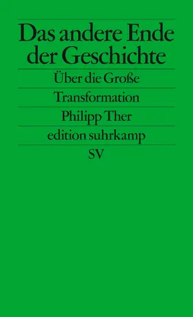 Ther |  Das andere Ende der Geschichte | Buch |  Sack Fachmedien