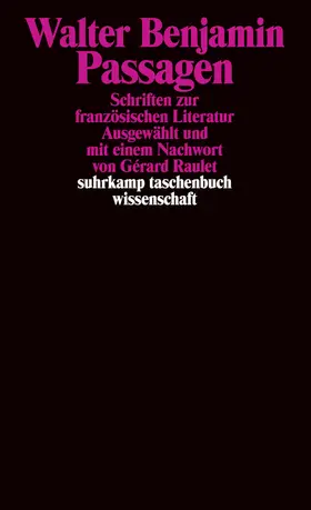 Benjamin / Raulet |  Passagen | Buch |  Sack Fachmedien