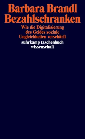 Brandl |  Bezahlschranken | Buch |  Sack Fachmedien