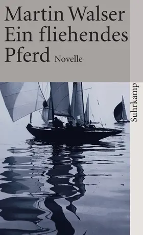 Walser | Ein fliehendes Pferd | Buch | 978-3-518-37100-8 | www2.sack.de