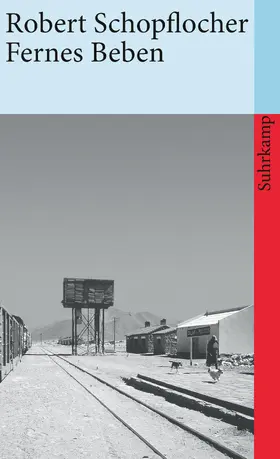 Schopflocher |  Fernes Beben | Buch |  Sack Fachmedien