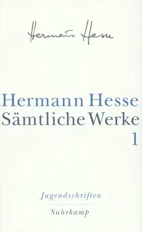 Hesse / Michels |  Jugendschriften | Buch |  Sack Fachmedien