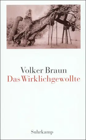 Braun |  Das Wirklichgewollte | Buch |  Sack Fachmedien
