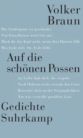 Braun |  Auf die schönen Possen | Buch |  Sack Fachmedien