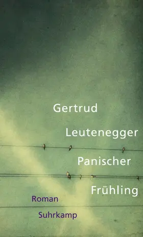 Leutenegger |  Panischer Frühling | Buch |  Sack Fachmedien