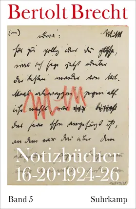 Brecht / Kölbel / Villwock |  Notizbücher 16-20 | Buch |  Sack Fachmedien