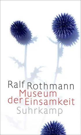 Rothmann |  Museum der Einsamkeit | Buch |  Sack Fachmedien