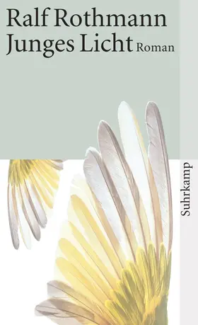 Rothmann |  Junges Licht | Buch |  Sack Fachmedien