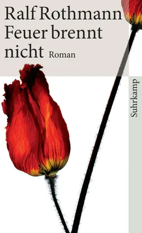 Rothmann |  Feuer brennt nicht | Buch |  Sack Fachmedien