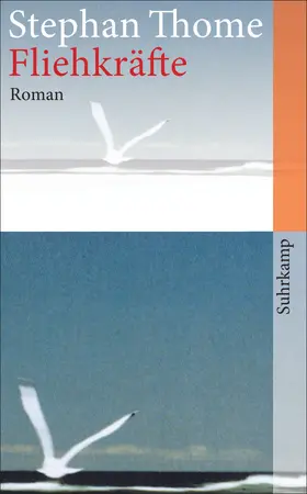 Thome |  Fliehkräfte | Buch |  Sack Fachmedien