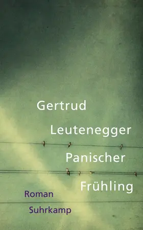 Leutenegger |  Panischer Frühling | Buch |  Sack Fachmedien