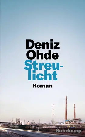 Ohde |  Streulicht | Buch |  Sack Fachmedien