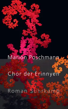 Poschmann |  Chor der Erinnyen | Buch |  Sack Fachmedien