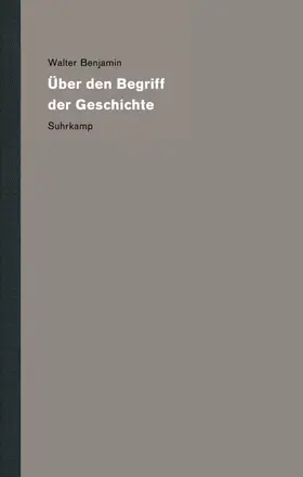 Benjamin / Raulet |  Werke und Nachlaß. Kritische Gesamtausgabe 19 | Buch |  Sack Fachmedien