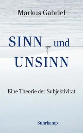 Gabriel |  Sinn und Unsinn | Buch |  Sack Fachmedien