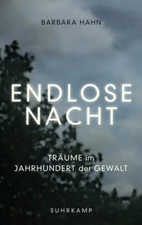 Hahn |  Endlose Nacht | eBook | Sack Fachmedien