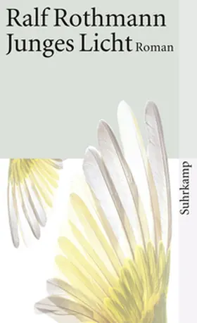 Rothmann | Junges Licht | E-Book | www2.sack.de
