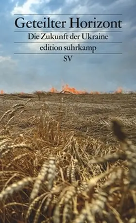 Raabe / Mishchenko |  Geteilter Horizont | eBook | Sack Fachmedien