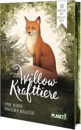 Bohlmann / Föller |  Ein Mädchen namens Willow: Krafttiere | Buch |  Sack Fachmedien