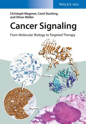 Wagener / Müller / Stocking |  Cancer Signaling | Buch |  Sack Fachmedien
